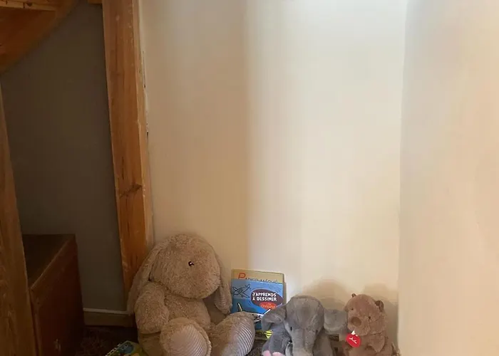 Aux Portes Du Mont Anis Appartement Le Puy-en-Velay